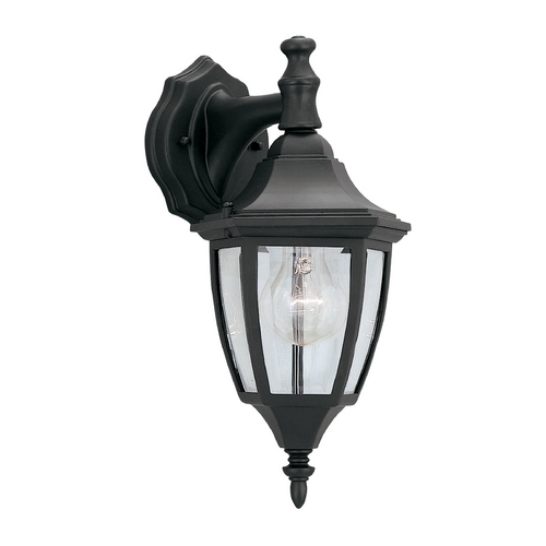 Outdoor Wall Light with Clear Glass in Black Finish