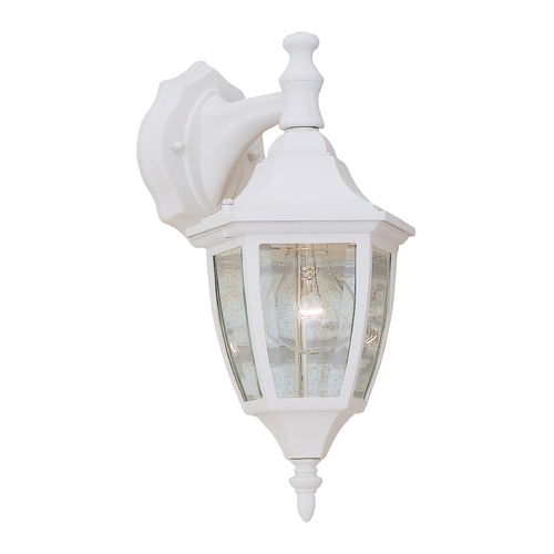 Outdoor Wall Light with Clear Glass in White Finish