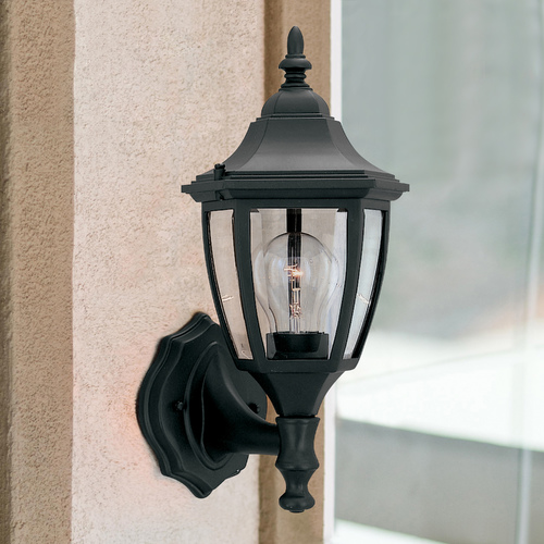 Outdoor Wall Light with Clear Glass in Black Finish