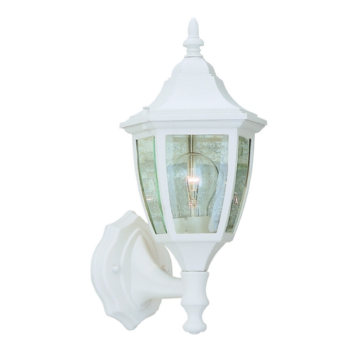 Outdoor Wall Light with Clear Glass in White Finish