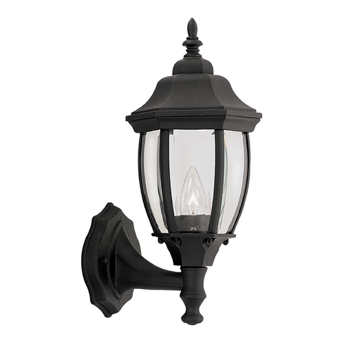 Outdoor Wall Light with Clear Glass in Black Finish