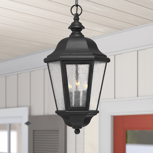 Seeded Glass Outdoor Hanging Light Black by Hinkley Lighting