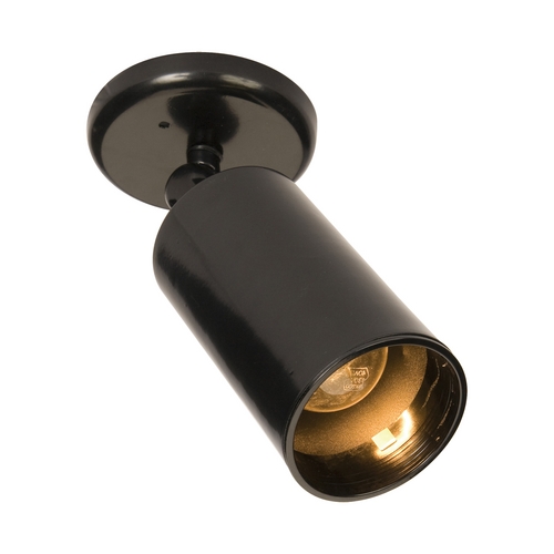 Spots Black Directional Spot Light by Maxim Lighting