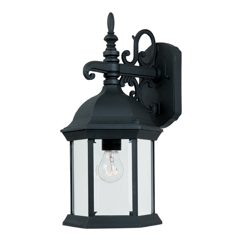 Outdoor Wall Light with Clear Glass in Black Finish