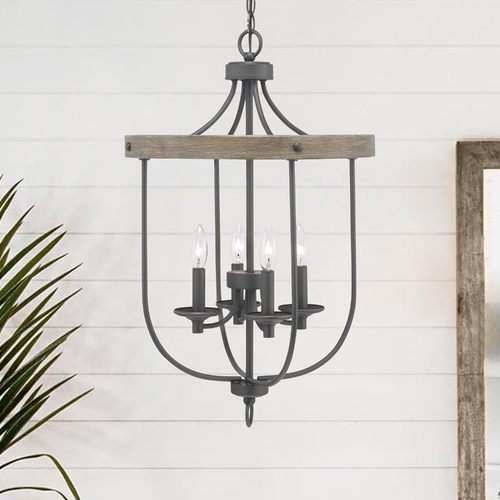 Gulliver Graphite 4-Light Pendant by Progress Lighting