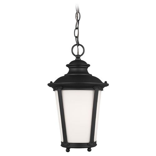 Cape May Black Outdoor Hanging Light by Generation Lighting