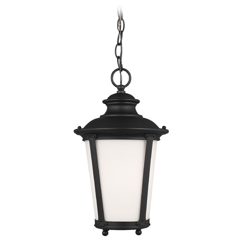 Generation Lighting Cape May Black Outdoor Hanging Light by Generation Lighting 62240-12