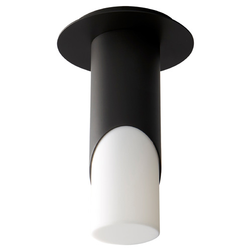 Ellipse LED Acrylic Ceiling Mount in Black by Oxygen Lighting