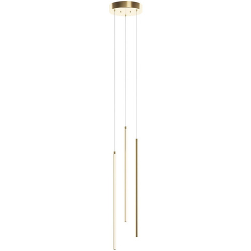 Afx Lighting Rosemont Satin Brass LED Multi-Light Pendant with Cylindrical Shade