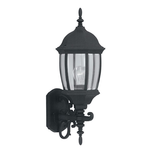 Outdoor Wall Light with Clear Glass in Black Finish