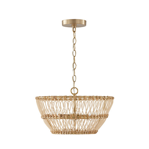 Capital Lighting Wren Dual Mount Pendant in Matte Brass by Capital Lighting 244131MA