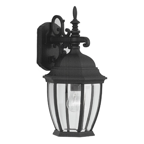 Outdoor Wall Light with Clear Glass in Black Finish