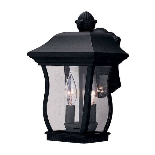 Outdoor Wall Light with Clear Glass in Black Finish