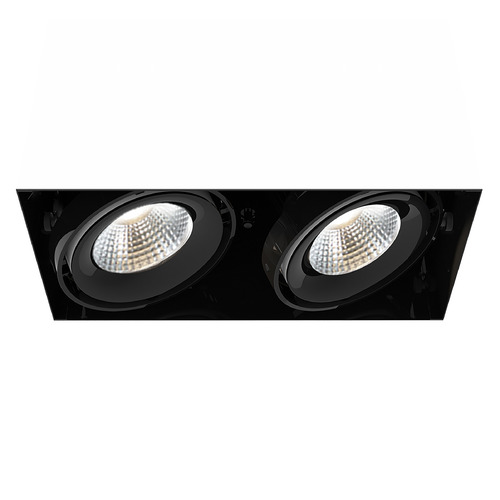 Eurofase Lighting Black LED Recessed Kit by Eurofase Lighting TE222LED-30-2-01