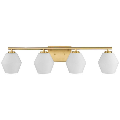 Progress Lighting Progress Lighting Safford 4-Light Silver Ridge Vanity Light P300433-191