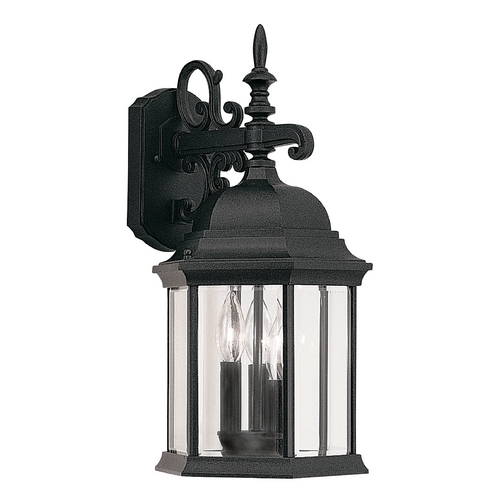 Outdoor Wall Light with Clear Glass in Black Finish
