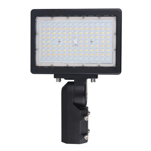 Satco Lighting Satco Lighting Bronze LED Flood - Spot Light 65/620