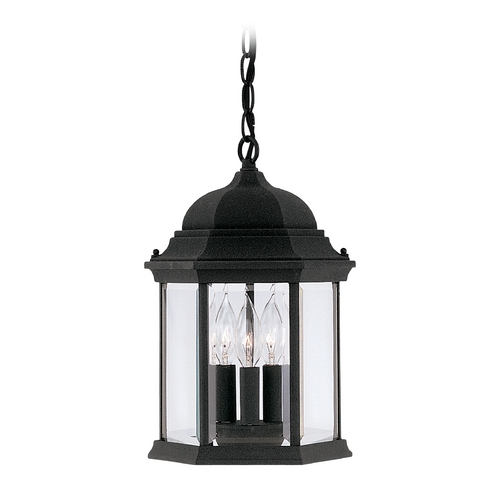 Outdoor Hanging Light with Clear Glass in Black Finish