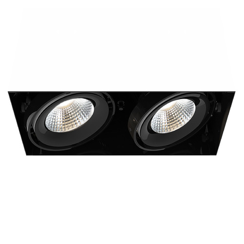 Eurofase Lighting Black LED Recessed Kit by Eurofase Lighting TE222LED-40-2-01