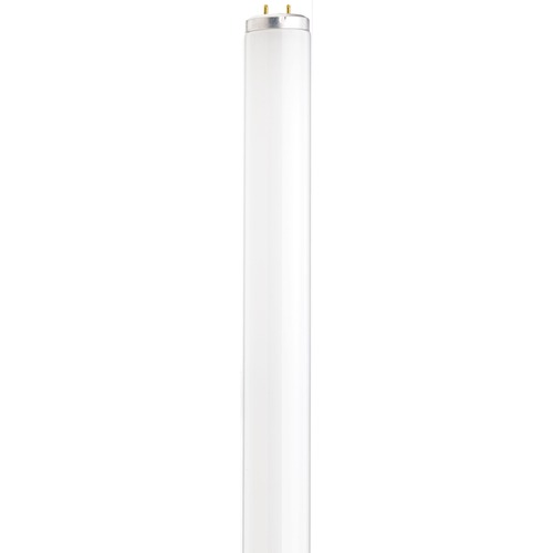 Satco Lighting 15W Fluorescent T12 Bi-Pin Base Bulb 4100K by Satco Lighting S6562
