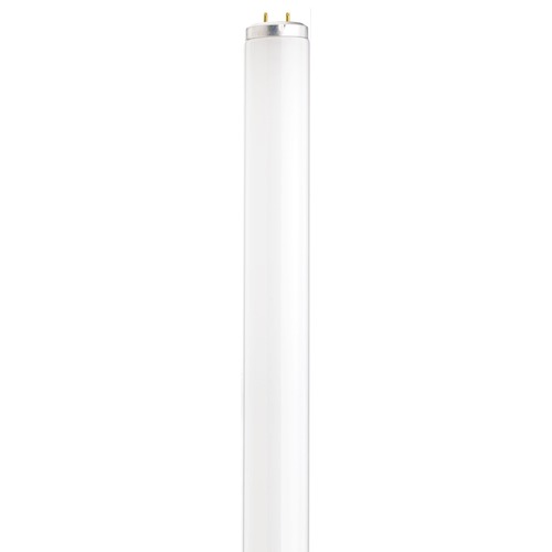 Satco Lighting 15W Bi-Pin Base T12 Fluorescent Bulb 3000K by Satco Lighting S6564