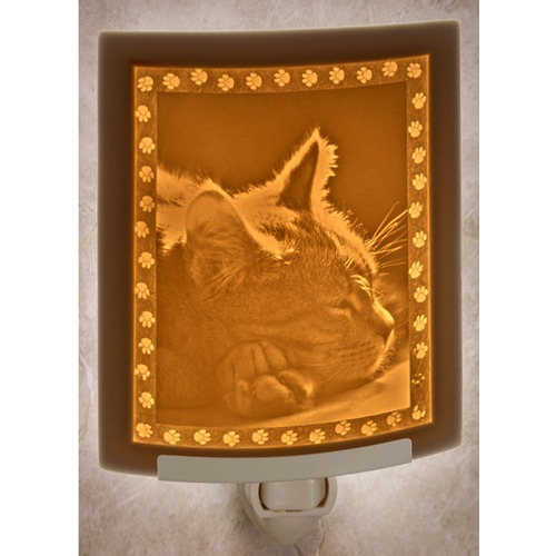 Porcelain Garden Lighting Kitten Dreams Curved Panel Lithophane Nightlight by Porcelain Garden Lighting NR225