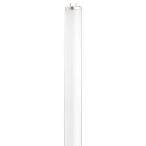 Satco Lighting 20W Bi-Pin Base T12 Fluorescent Bulb 6500K by Satco Lighting S6566