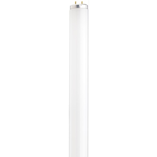 Satco Lighting 30W Fluorescent T12 Bi-Pin Base Bulb 4200K by Satco Lighting S6571