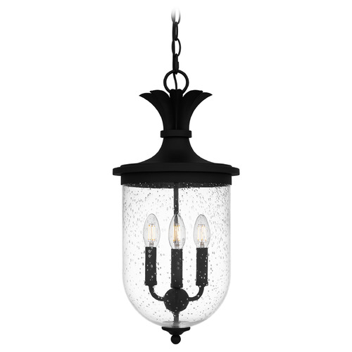 Quoizel Lighting Havana Earth Black Outdoor Hanging Light