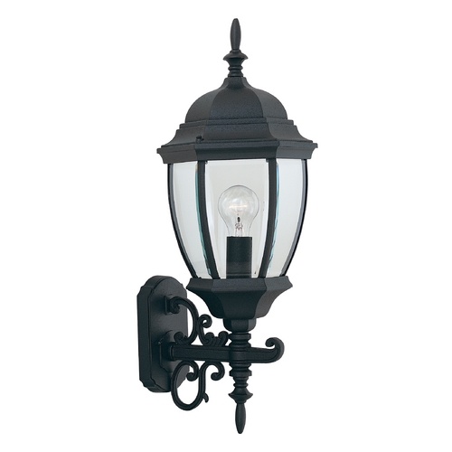 Outdoor Wall Light with Clear Glass in Black Finish