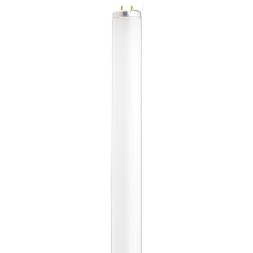 30W Bi-Pin Base T12 Fluorescent Bulb 3000K by Satco Lighting