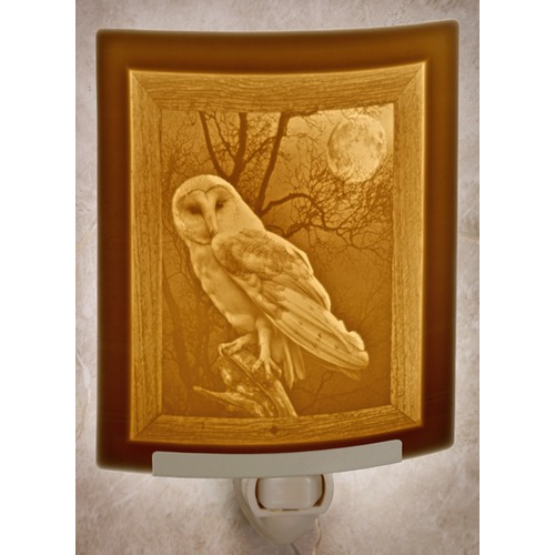 Porcelain Garden Lighting Owl Curved Panel Lithophane Nightlight by Porcelain Garden Lighting NR270