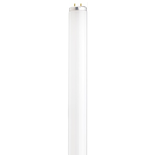 Fluorescent T12 Light Bulb Bi-Pin Base 4100K by Satco Lighting