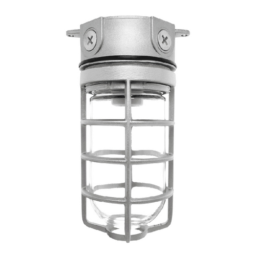 Vaporproof Flush Mount- 150W by RAB Electric Lighting
