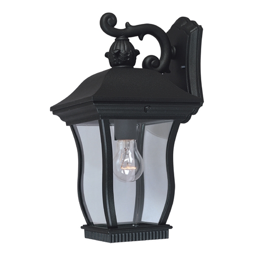 Outdoor Wall Light with Clear Glass in Black Finish