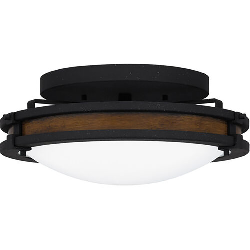 Quoizel Lighting Gainsborough 15-Inch Flush Mount in Natural Iron by Quoizel Lighting QFL5610NI