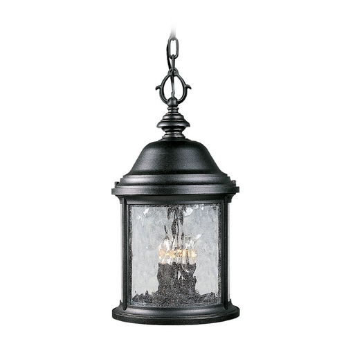 Ashmore Outdoor Hanging Light in Black by Progress Lighting