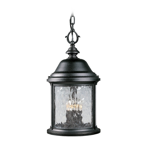 Progress Lighting Ashmore Outdoor Hanging Light in Black by Progress Lighting P5550-31