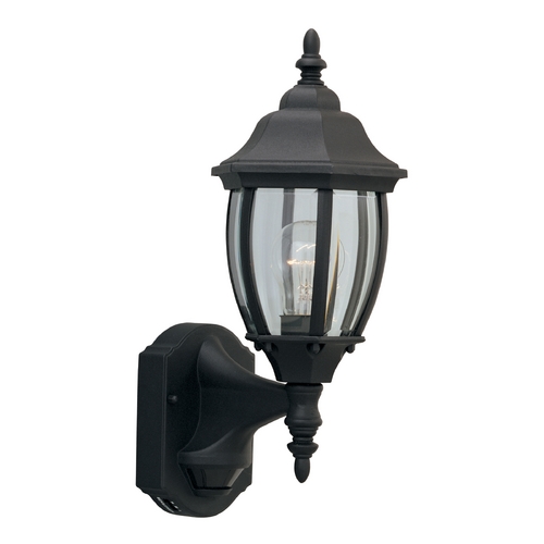 Outdoor Wall Light with Clear Glass in Black Finish