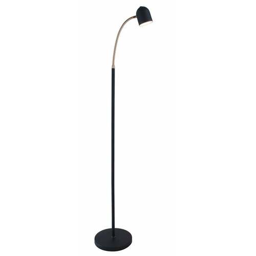 Tiara Floor Lamp in Black & Antique Brass by Lite Source Lighting