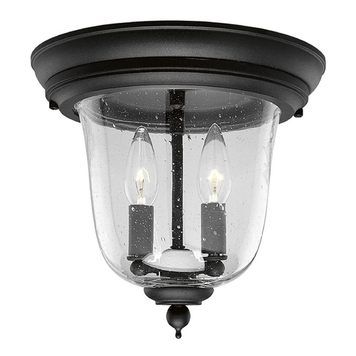 Progress Lighting Ashmore Outdoor Ceiling Light in Black by Progress Lighting P5562-31