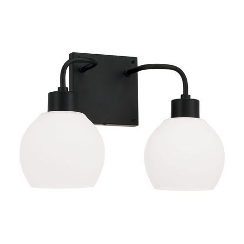Tanner 15-Inch Bath Light in Matte Black by HomePlace by Capital Light