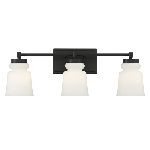 24-Inch Vanity Light in Matte Black by Meridian