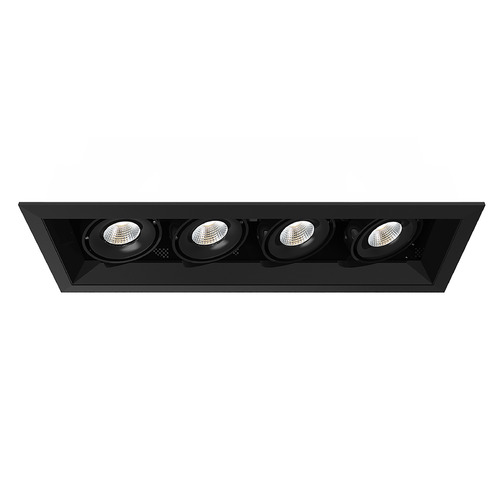 Eurofase Lighting Black & Black LED Recessed Kit by Eurofase Lighting TE164ALED-30-2-01