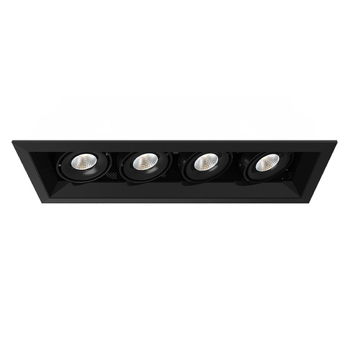 Eurofase Lighting Black & Black LED Recessed Kit by Eurofase Lighting TE164ALED-30-4-01