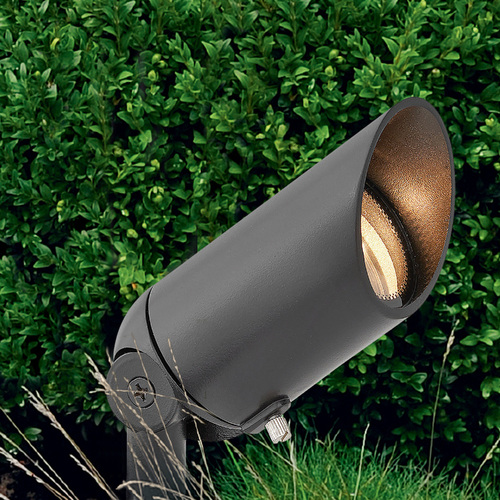 Satin Black Spot Light by Hinkley Lighting