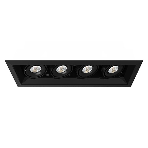 Eurofase Lighting Black & Black LED Recessed Kit by Eurofase Lighting TE164ALED-40-2-01