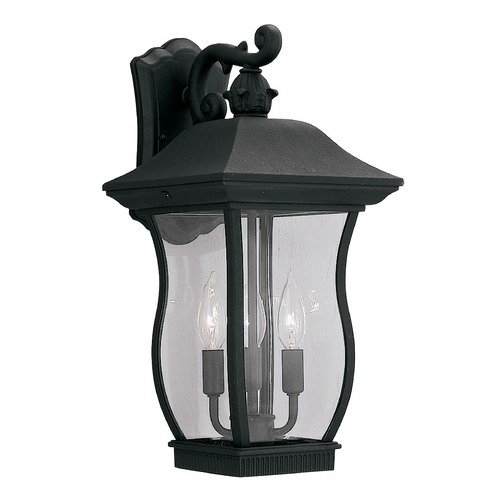 Outdoor Wall Light with Clear Glass in Black Finish