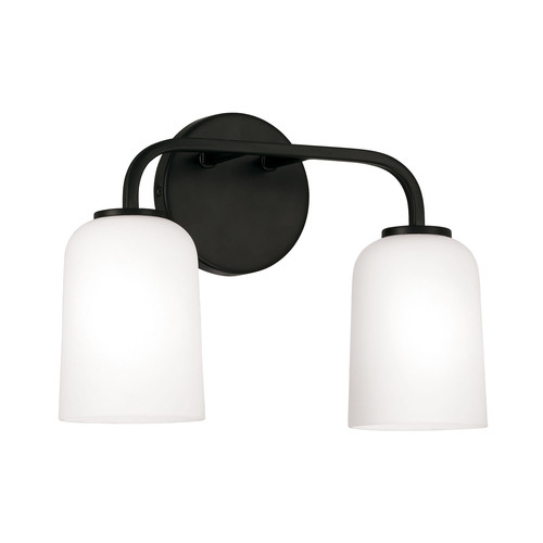 HomePlace by Capital Lighting Lawson 13.75-Inch Bath Light in Black by HomePlace by Capital Lighting 148821MB-542