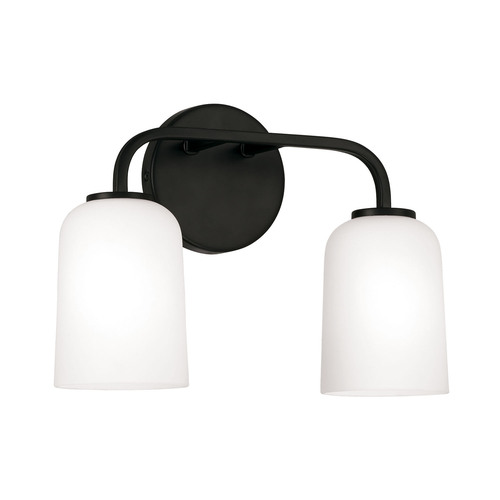 Lawson 13.75-Inch Bath Light in Black by HomePlace by Capital Lighting